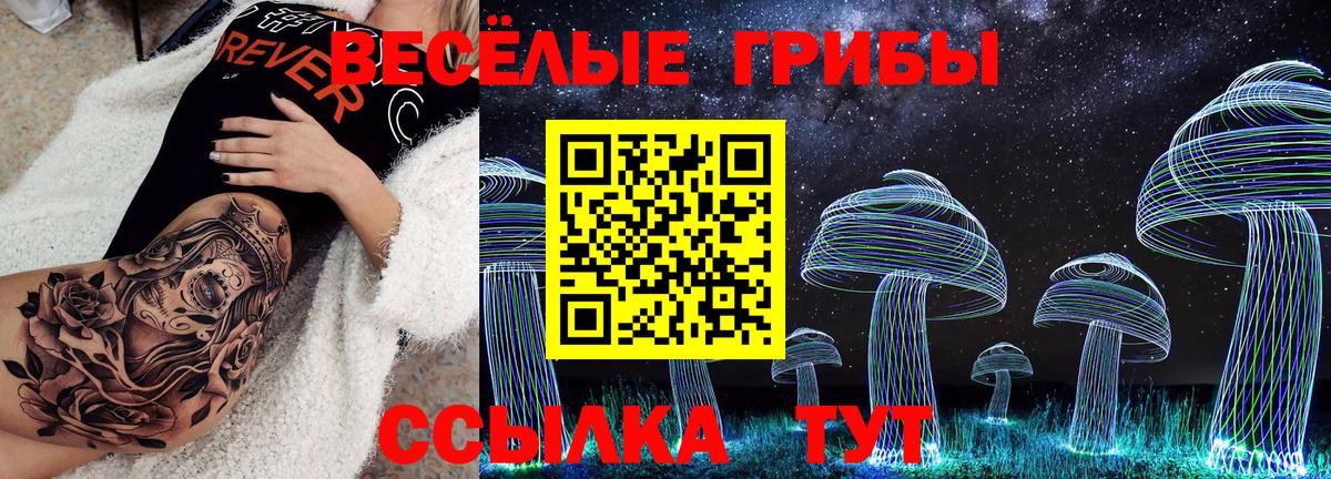 Галлюциногенные грибы GOLDEN TEACHER  Вход с VPN  Псилоцибиновые грибы Cubensis  Архангельск 
